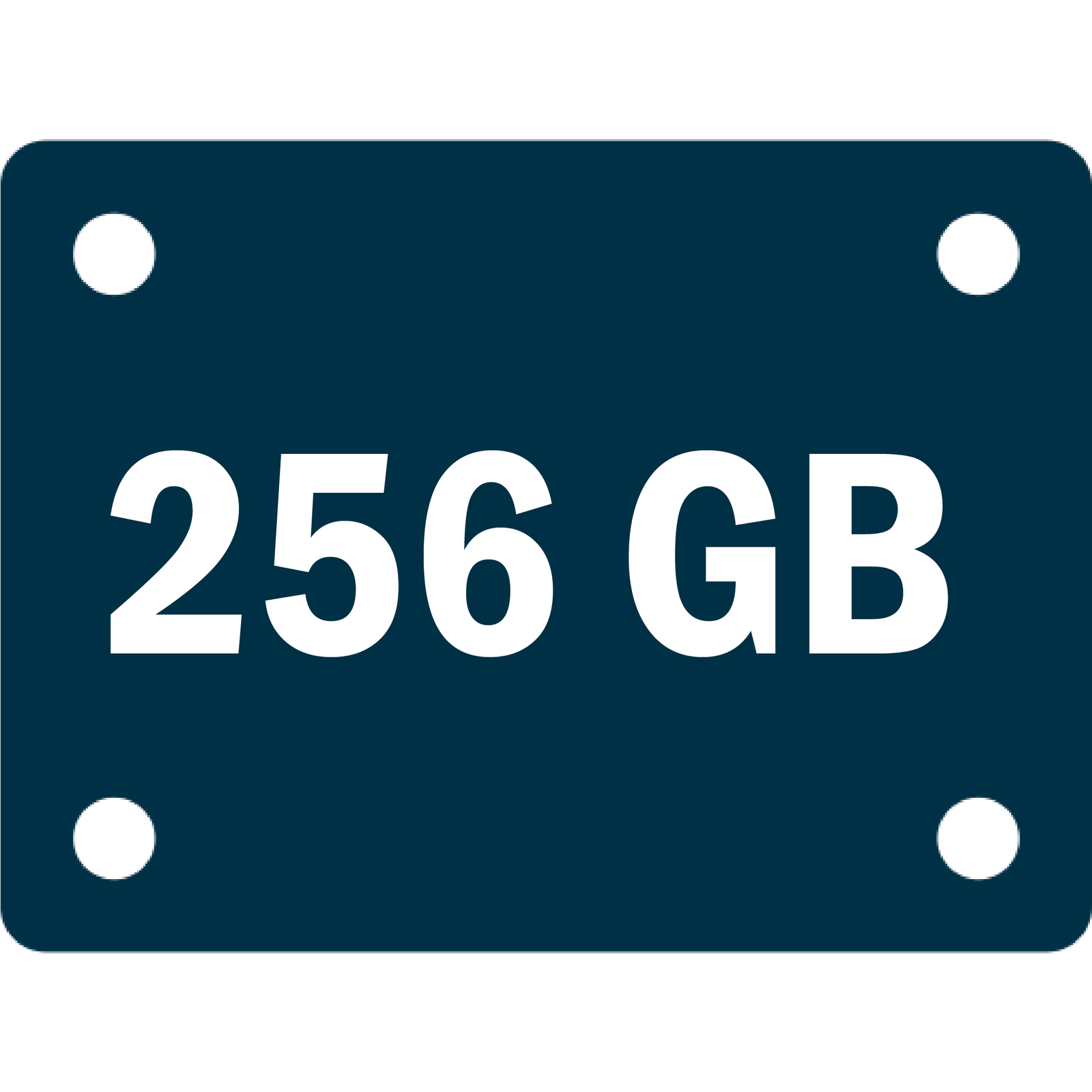 256 GB